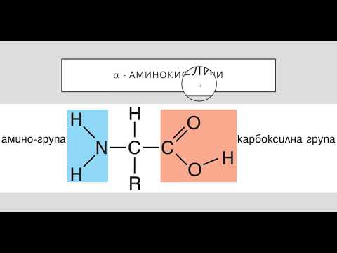 Видео: Амини. Аминокиселини