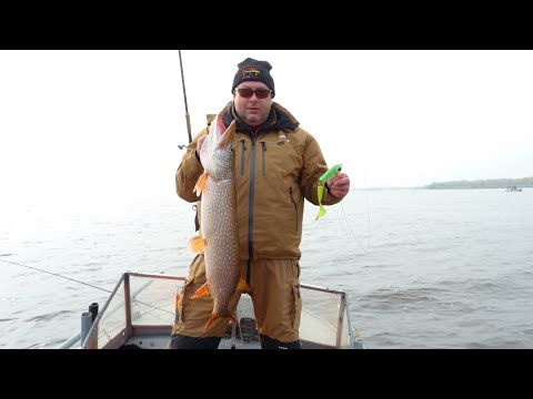 Видео: Tail Bait... Универсальная приманка на весь сезон!