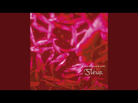 Видео: Колыбельная для Солнца