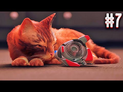 Видео: САМАЯ ДОБРАЯ ИГРА - STRAY ПРОХОЖДЕНИЕ #7 ФИНАЛ