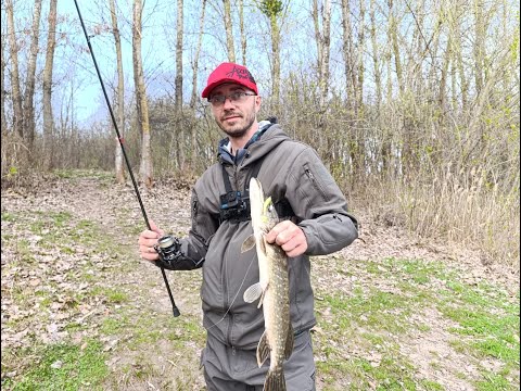 Видео: Розриваю щук та окунів на спінінг Sawada Light Rod 2.29м 1-10г. Джиг з берега на малій вазі. 2025