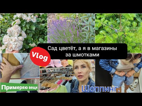 Видео: Зацвели розы. Влог. Примеряю вещи, обновляю гардероб. Шоппинг. прогулка по саду