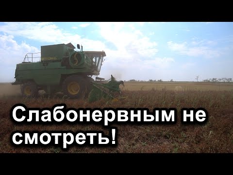 Видео: Уборка гороха 2021г! ДОН-1500б.