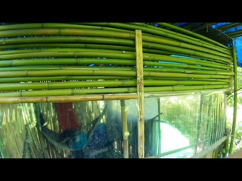 Видео: Вставляю необычные окна в Хижине. Змеи окружают. 