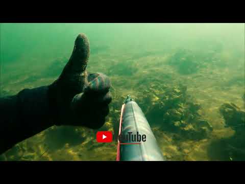 Видео: Подводная охота на щуку. Осенний прозрак.