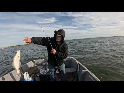 Видео: Рыбалка на удочку с лодки в Марине 59 (21.09.2025)
