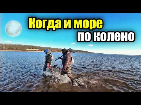 Видео: Результативный выезд с MD Simplex plus. Попытка ночного копа.