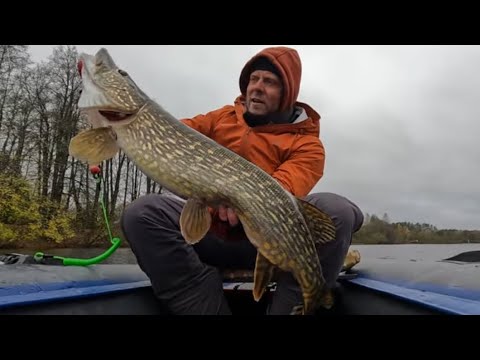 Видео: Самое время для ТРОФЕЕВ! ЩУКА на СПИННИНГ в ОКТЯБРЕ! Рыбалка с лодки осенью!