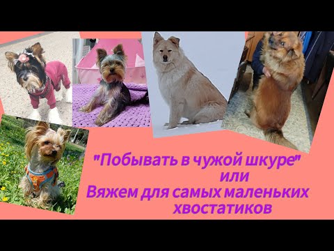 Видео: "Побывать в чужой шкуре" или Вяжем для самых маленьких хвостатиков)