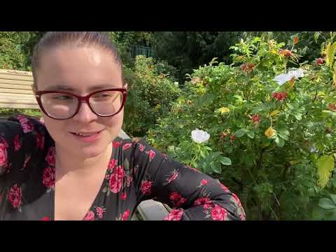 Видео: KADRIYA - Звуковик: кто такой и с чем его едят