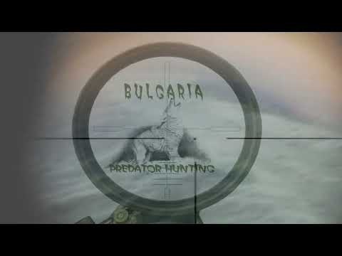 Видео: На варда за хищници - Predator Hunting Bulgaria