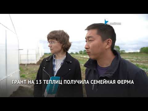 Видео: Семейная ферма Николая Геннадьевича Пака / село Полетное / Хабаровский край