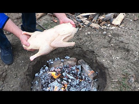 Видео: ЦЕЛЫЙ ГУСЬ В ЯМЕ. ЗАПЁК ГУСЯ В ЗЕМЛЕ