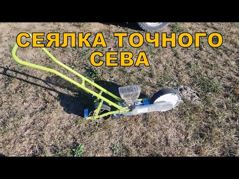 Видео: Сеялка точного сева и всходы амаранта - 18 сентября 2023 года