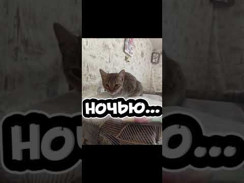 Видео: скинволкер притворился  моей бабушкой и напал на меня//страшная переписка