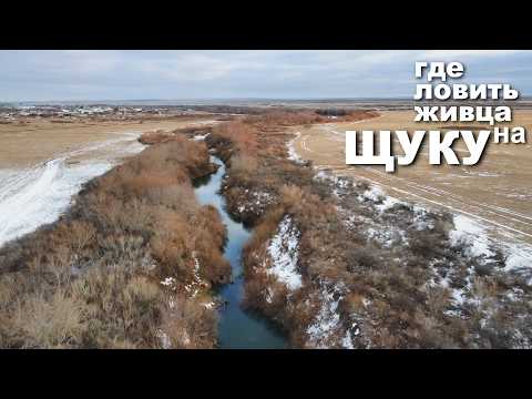 Видео: Рыбалка. НАШЁЛ где ловить ЖИВЦА. Карагандинская область.Киевка-Нура #рыбалка #dji  #рекомендации