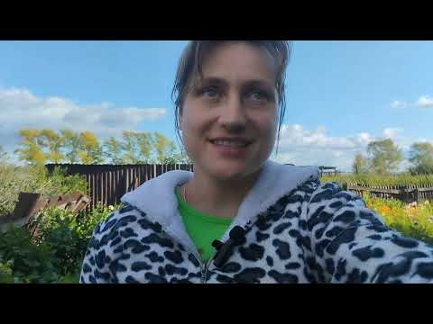 Видео: Еле сдерживаю слёзы