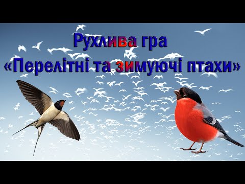 Видео: Рухлива гра «Перелітні та зимуючі птахи»