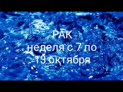 Видео: РАК неделя с 7 по 13 октября 2024 года