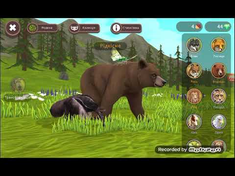 Видео: 26 жовтня 2025 р.