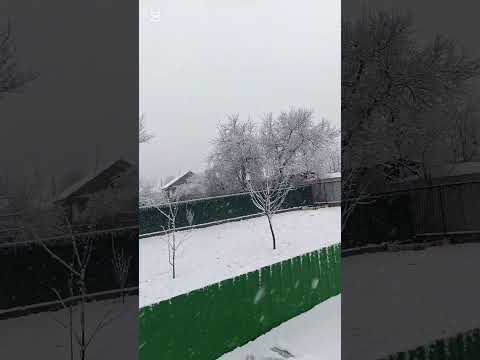 Видео: @Roza Zərgərli & Мурад Байкаев-Неизбежная любовь