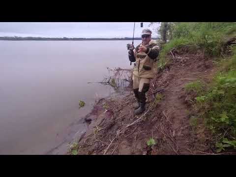 Видео: Клюет не та рыба на которую мы рассчитывали! Открытие летнего сезона 2024г. на Оби в Томской обл.