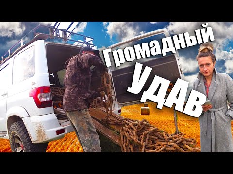 Видео: Километр ОГРОМНОЙ ЦЕПИ!!!Работаем до ГЛУБОКОЙ НОЧИ!!!Коп МЕТАЛЛА 2024!!!