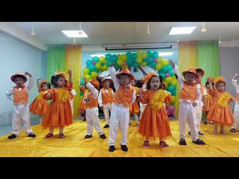 Видео: 21.10.2024 Сафияның тобында Алтын күз 