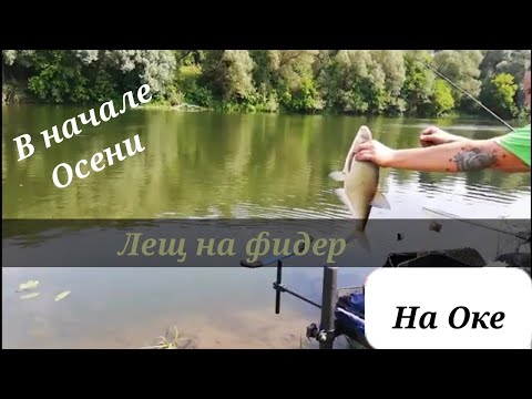 Видео: Ловля Леща на фидер, на реке Ока в начале осени 2021