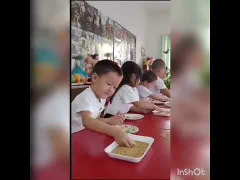 Видео: Ұйымдастырылған іс әрекет Тақырыбы  Дала құстарының тіршілігі 'Куншуақ' ересек тобы Тәрбиешісі  Кока