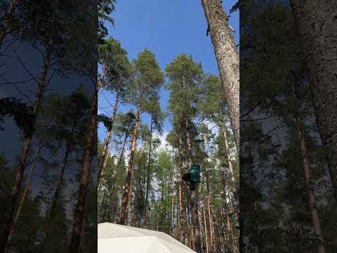 Видео: ГДЕ ПРОВЕСТИ ВЫХОДНЫЕ