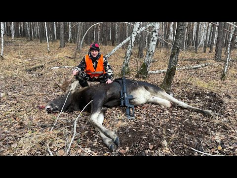 Видео: Загонная охота на копытных октябрь 2022. TG3 Lancaster 9.6х53 and Yukon Jaeger 3-9х40.