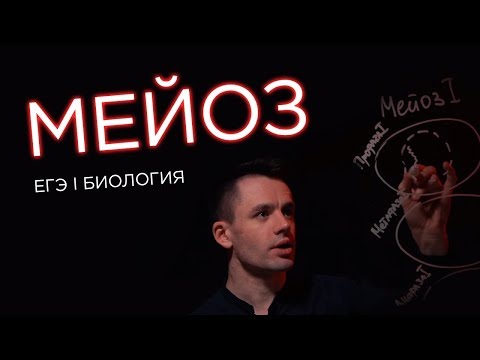 Видео: Мейоз | ЕГЭ Биология | Даниил Дарвин