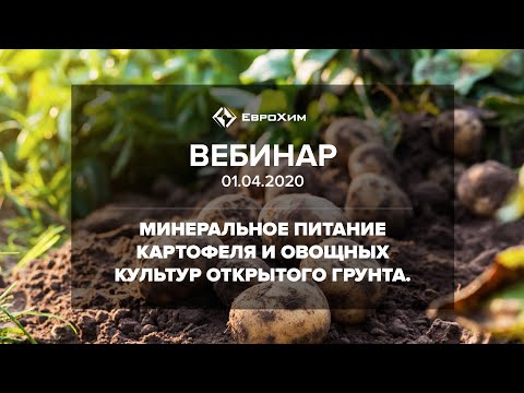 Видео: МИНЕРАЛЬНОЕ ПИТАНИЕ КАРТОФЕЛЯ И ОВОЩНЫХ КУЛЬТУР ОТКРЫТОГО ГРУНТА.