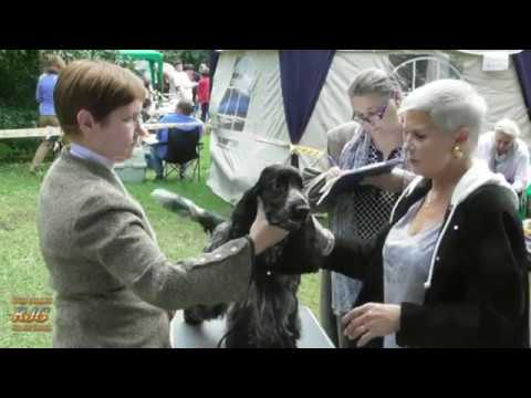 Видео: 2017 Выставка ХХ-ШОУ АКС Останкинский парк