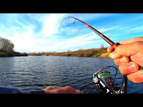 Видео: Я В ШОКЕ, ЭТО ПРОСТО БЕЗУМИЕ. СТОЛЬКО ЩУКИ Я ЕЩЕ НЕ ЛОВИЛ. Рыбалка на спиннинг осенью