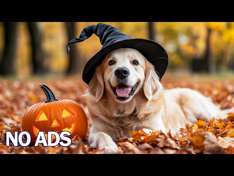 Видео: 12 Часов ТВ для Собак 🐶 Расслабляющая Музыка для Глубокого Сна Антистресс