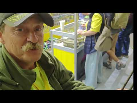 Видео: Выставка Охоты и Рыболовства на Руси, Осень 2025. Стенд Серебряный ручей. Обзор новинок