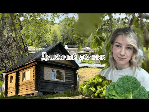 Видео: Мы переехали! Жизнь в деревне! Обустраиваем дачный дом. Замораживаю брокколи.