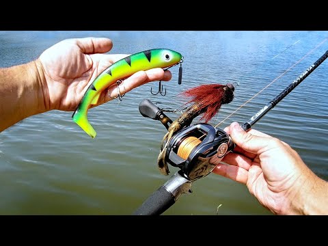 Видео: ЕБУЛДАТОРЫ - БИГ-БЕЙТЫ, какие нужны снасти? DAIWA TATULA 300 + Black Arrow G3 - Мой новый комплект