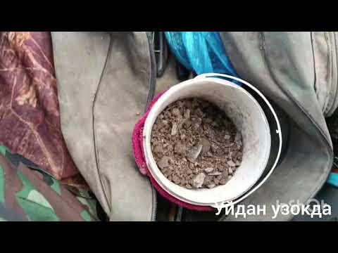 Видео: 2 октября 2025 г.