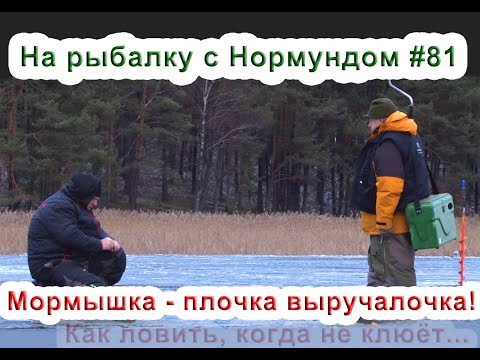 Видео: Мормышка  - палочка выручалочка! На рыбалку с Нормундом #81