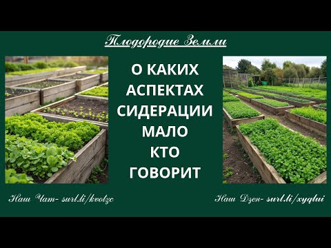 Видео: Новое и главное о сидератах №830/25