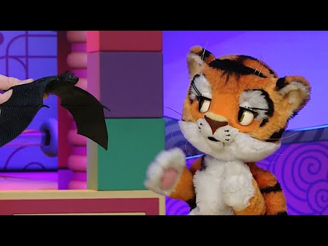 Видео: ☀️С добрым утром, малыши! Сказка "Летучая мышь" - Сказки из сундучка