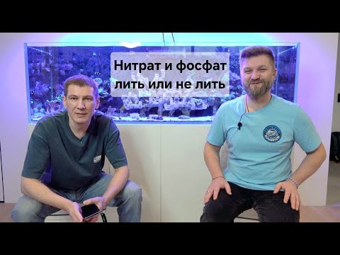 Видео: Нитрат и фосфат в море  Лить или не лить