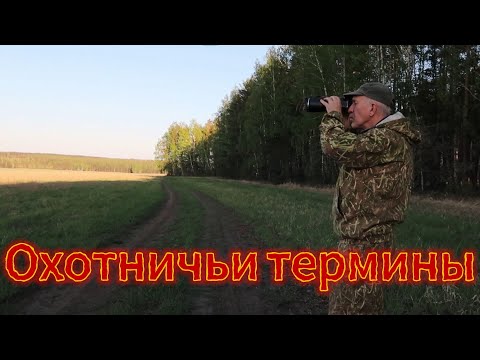 Видео: Охотничьи термины