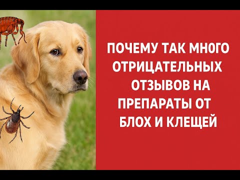 Видео: Вот почему на многие препараты от блох и клещей для собак и кошек есть масса негативных отзывов