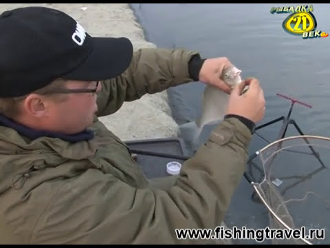 Видео: Рыболов-эксперт. Фидер против классической донки.