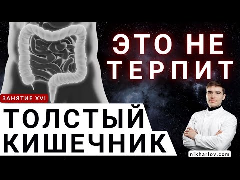 Видео: Как толстый кишечник опорожняется. Перистальтика, механизм дефекации. Что происходит при запоре.