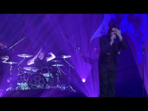 Видео: Wildways - цветы